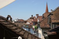 IMG_1357