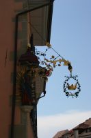 IMG_1365